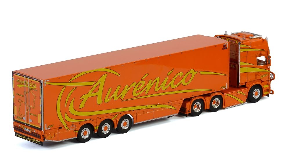 Scania Streamline Topline Aurencio Transport Wsi Models 2931 
